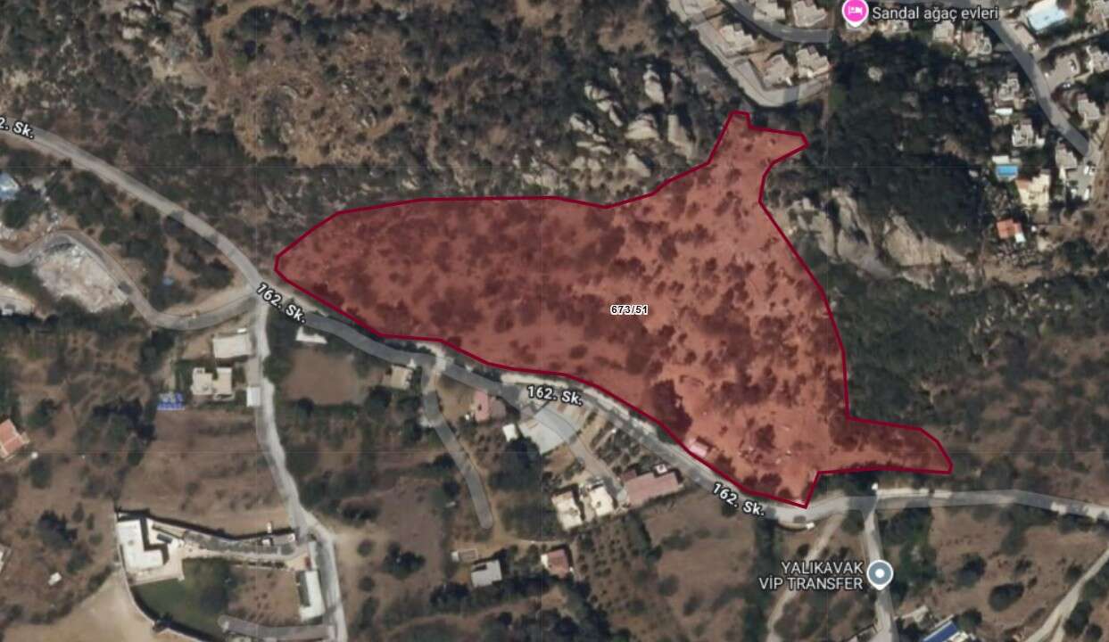 Turizm Cenneti Bodrum'da 126,5 Milyon TL Değerinde Zeytinli Tarla Mahkemeden Satışa Çıkarıldı 3